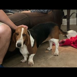 Meet your Posher, Thelma